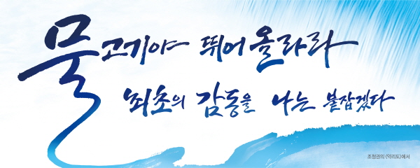 2009년 여름편
